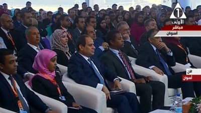 السيسي: صدقت على كل القرارات الخاصة بالنوبة