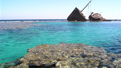 ننشر السبب الحقيقي لإغلاق 