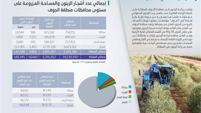 زيتون الجوف يضع المملكة على الخارطة العالمية