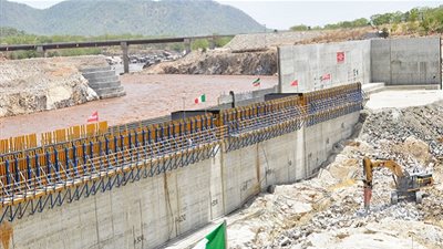 نائب رئيس المركز العربى لـ