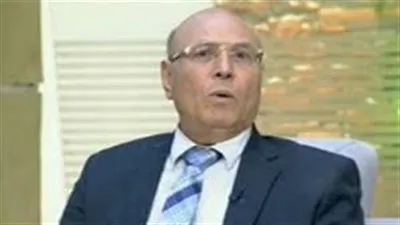 خبير شؤون أفريقية: مصر تعود مجددا لدورها في القارة 