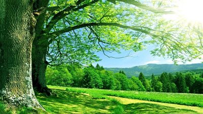 رحلة قلب إلى نعيم الجنة