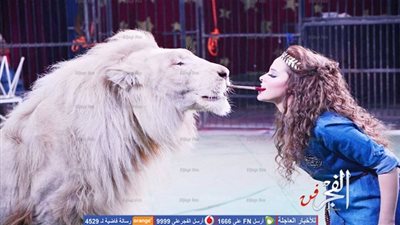 نهائي بطولة أمم إفريقيا يُجبر السيرك القومى على تغيير مواعيده