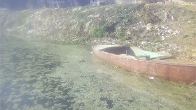 ذعر بين أهالي المحمودية بسبب تلوث مياه فرع رشيد بالمخلفات الكيماوية (صور)