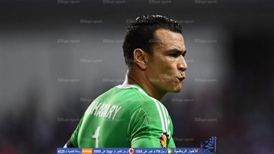 نهائي إفريقيا.. عصام الحضري يتصدي ببراعة لتسديدة كاميرونية (فيديو)