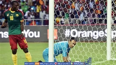 التتويج الخامس للأسود وكسر عقدة الفراعنة فى نهائى الكان ضمن أبرز 6 أرقام لنهائى إفريقيا