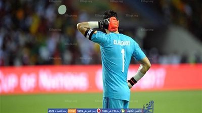 وزير الرياضة يعدد مكاسب المنتخب من أمم إفريقيا رغم خسارة اللقب