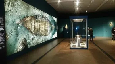 أسرار مصر الغارقة بزيورخ السويسرية