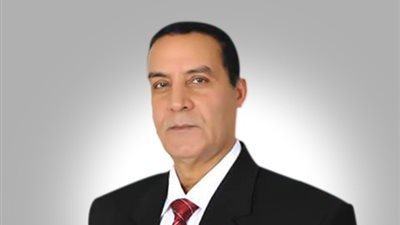 مستشار كلية القادة والأركان: مصر تخوض 