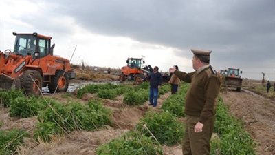 إزالة التعديات على 238 فدان ببر بحري  لإقامة 