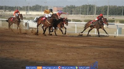 78 خيل في سباق الوصل للفروسية بدبي الجمعة