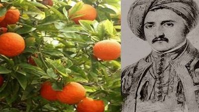 حكاية اليوسف أفندي .. قصة من تاريخ الزراعة في مصر !