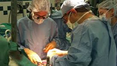 عملية زراعة الأعضاء وأسباب النجاح والفشل