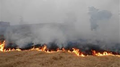 السيطرة على حريق اندلع بقطعة أرض زراعية بمركز منشأة القناطر