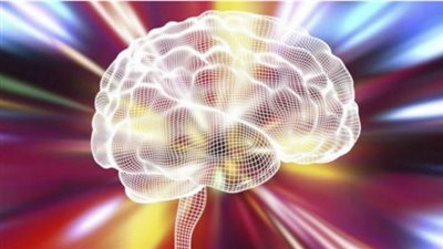  أكاديميون يطورون لعبة لتدريب الدماغ على كبح الشهية !