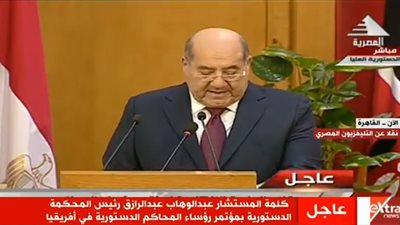 رئيس الدستورية العليا: دور القضاء في حماية الحقوق والواجبات أهم ضروريات الحياة