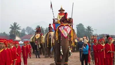 مهرجان لحماية الأفيال من الانقراض في لاوس