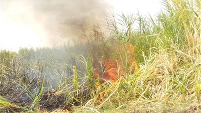 السيطرة على حريق بفدانين من زراعات القصب في قنا