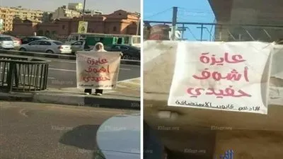 حلم على سور 