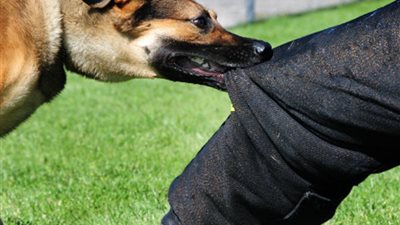 إصابة طفلة بـ 