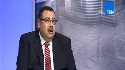 عمرو سليمان: 200 ألف سيارة اجمالي مبيعات السيارات السنوية في مصر 