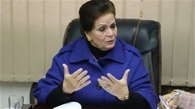 محافظ البحيرة: المشروعات الاستثمارية 