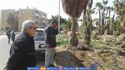 رئيس حي فيصل يقود حملة مكبرة لنظافة وتجميل شوارع السويس (صور)