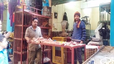 أسعار الدواجن في العلالي.. و