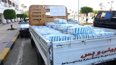 ضبط 120 طن أرز في حملة تموينية بدمياط 