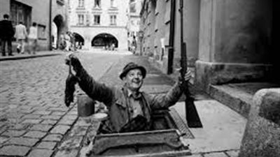 اصطاد الاوروبيون الفئران بأيديهم وقضي المصريون عليها بالقطط ... حكاية السكاكيني 