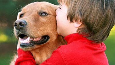 الإفتاء تجيب.. ما حكم لمس الكلاب ومداعبتها! 