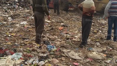 ضبط سيارة محملة بالحمير النافقة في المنوفية (صور)