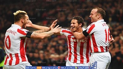 أكثر 10 جنسيات تهديفاً في تاريخ الدوري الإنجليزي 