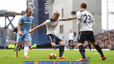 توتنهام في اختبار صعب أمام إيفرتون 