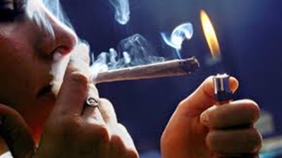 حكومة الاحتلال الإسرائيلية تسمح لمواطنيها بتدخين الماريغوانا للترفيه