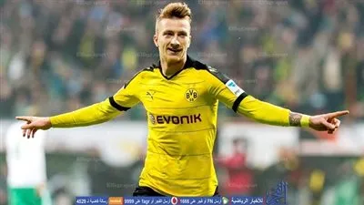 بوروسيا دروتموند يعلن حجم إصابة رويس