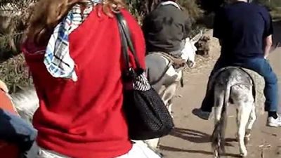 وسط الجبال والمناطق الأثرية.. 