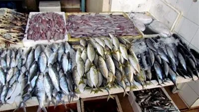 أسعار الأسماك اليوم الجمعة  2017 - 3 - 10