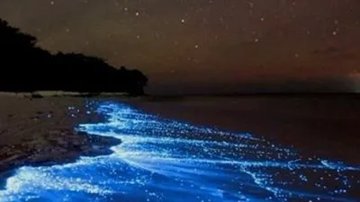 اذا كنت تنوي السفر.. تعرف على أجمل الشواطئ الرملية الملونة في العالم (صور)