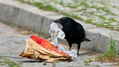 حديقة للملاهي فرنسية تستعين بـ