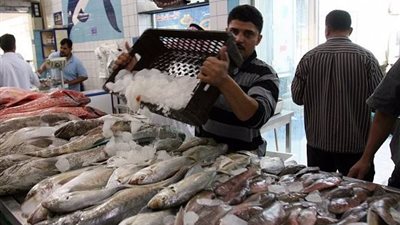  أسعار الأسماك اليوم الاثنين 13-8- 2018 في محافظة المنيا