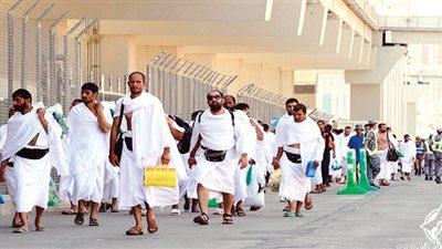 حافلات مجانية لنقل حجاج الوادي الجديد على نفقة المحافظة