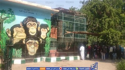 ننشر استعدادات حديقة الحيوان لعيد الأضحى المبارك (صور)