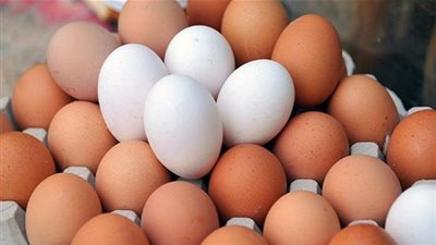 تعرف على فوائد 