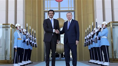 كاتب إماراتي يتحدث عن مصير أردوغان وتميم بعد الأزمة الاقتصادية