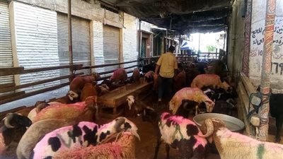 غلاء الأسعار يدفع المواطنون للاشتراك في ثمن 