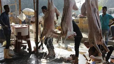 شاهد ذبح الأضاحي بعد صلاة العيد بالملك الصالح (صور) 