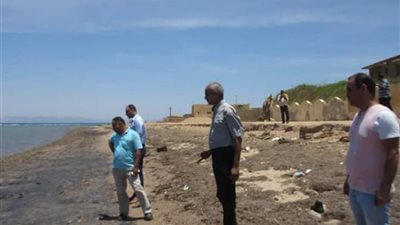 من الموت إلى الحياة.. قصة اختفاء 