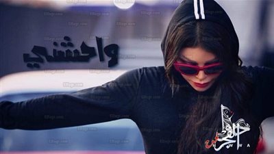 لأول مرة.. هيفاء وهبي تخوض تجربة كتابة اﻷغاني بأغنية 