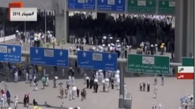 رئيس بعثة حج التضامن: نعمل على راحة الحجاج وملتزمون بالرخصة الشرعية